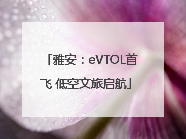 雅安：eVTOL首飞 低空文旅启航
