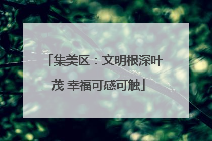 集美区：文明根深叶茂 幸福可感可触