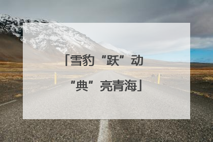 雪豹“跃”动 “典”亮青海