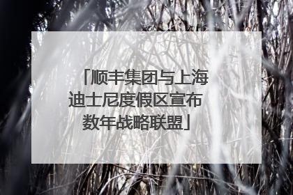 顺丰集团与上海迪士尼度假区宣布数年战略联盟