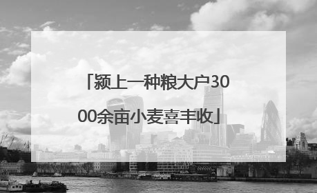 颍上一种粮大户3000余亩小麦喜丰收