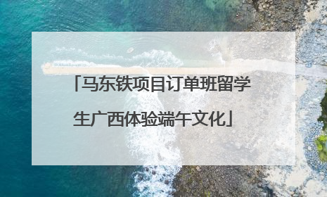 马东铁项目订单班留学生广西体验端午文化
