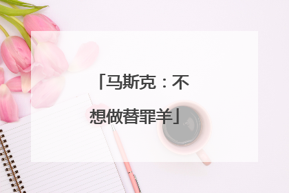 马斯克：不想做替罪羊