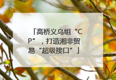 高桥义乌组“CP”，打造湘非贸易“超级接口”