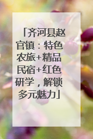 齐河县赵官镇：特色农旅+精品民宿+红色研学，解锁多元魅力