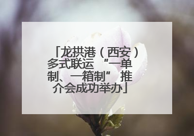 龙拱港（西安）多式联运 “一单制、一箱制” 推介会成功举办