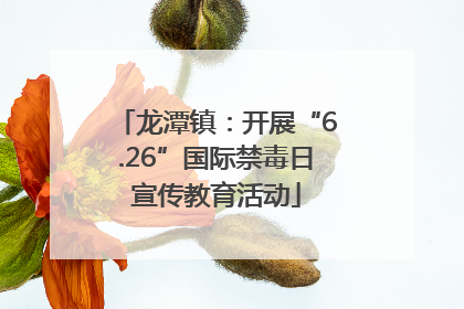 龙潭镇：开展“6.26”国际禁毒日宣传教育活动