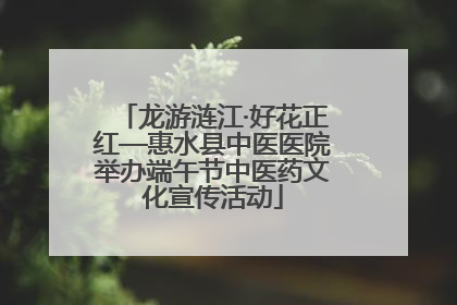 龙游涟江·好花正红—惠水县中医医院举办端午节中医药文化宣传活动