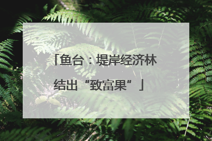 鱼台：堤岸经济林结出“致富果”