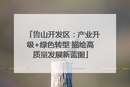 鲁山开发区：产业升级+绿色转型 描绘高质量发展新蓝图
