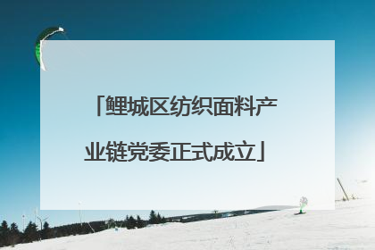 鲤城区纺织面料产业链党委正式成立