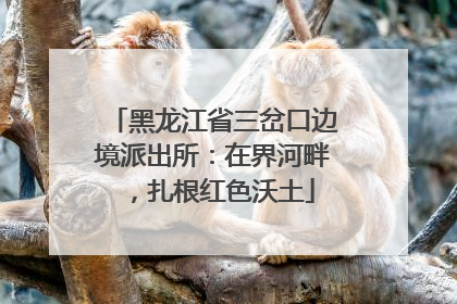 黑龙江省三岔口边境派出所：在界河畔，扎根红色沃土