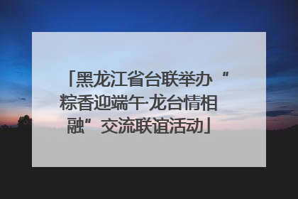 黑龙江省台联举办“粽香迎端午·龙台情相融”交流联谊活动