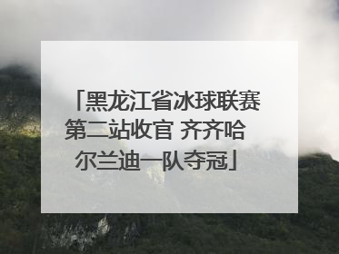 黑龙江省冰球联赛第二站收官 齐齐哈尔兰迪一队夺冠