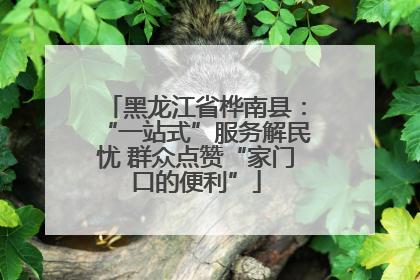 黑龙江省桦南县：“一站式”服务解民忧 群众点赞“家门口的便利”