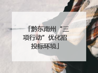黔东南州“三项行动”优化招投标环境