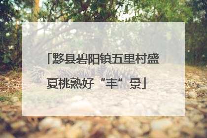 黟县碧阳镇五里村盛夏桃熟好“丰”景
