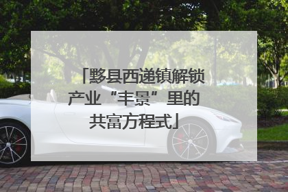 黟县西递镇解锁产业“丰景”里的共富方程式