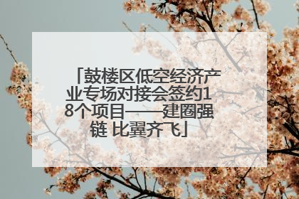 鼓楼区低空经济产业专场对接会签约18个项目——建圈强链 比翼齐飞