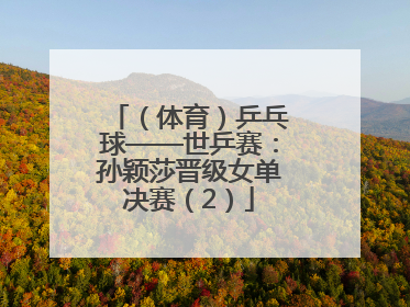 （体育）乒乓球——世乒赛：孙颖莎晋级女单决赛（2）