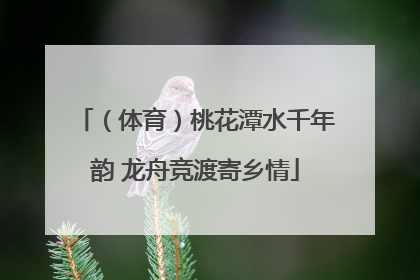 （体育）桃花潭水千年韵 龙舟竞渡寄乡情