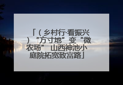（乡村行·看振兴）“方寸地”变“微农场” 山西神池小庭院拓宽致富路