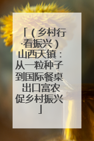 （乡村行·看振兴）山西天镇：从一粒种子到国际餐桌 出口富农促乡村振兴