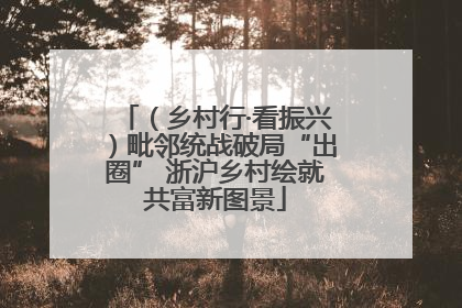 （乡村行·看振兴）毗邻统战破局“出圈” 浙沪乡村绘就共富新图景