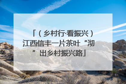 （乡村行·看振兴）江西信丰一片茶叶“沏”出乡村振兴路