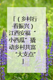 （乡村行·看振兴）江西安福“小西瓜”撬动乡村共富“大支点”