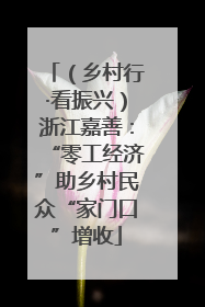 （乡村行·看振兴）浙江嘉善：“零工经济”助乡村民众“家门口”增收