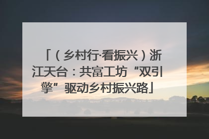 （乡村行·看振兴）浙江天台：共富工坊“双引擎”驱动乡村振兴路