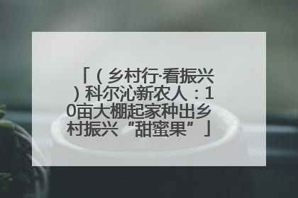 （乡村行·看振兴）科尔沁新农人：10亩大棚起家种出乡村振兴“甜蜜果”