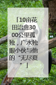 10亩花田治愈3000公里孤独，广水独眼小伙与他的“无尽夏”