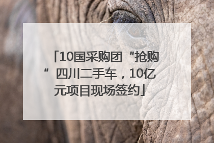 10国采购团“抢购”四川二手车，10亿元项目现场签约
