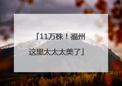 11万株！福州这里太太太美了