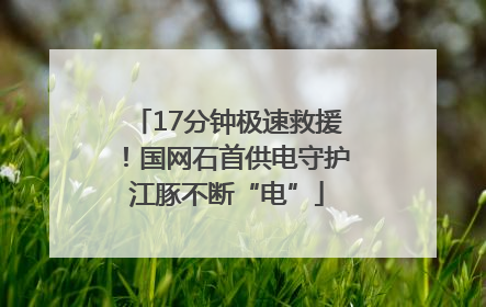 17分钟极速救援！国网石首供电守护江豚不断“电”