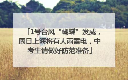 1号台风“蝴蝶”发威，周日上海将有大雨雷电，中考生请做好防范准备