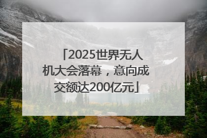 2025世界无人机大会落幕，意向成交额达200亿元
