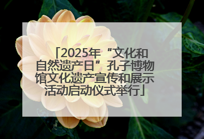 2025年“文化和自然遗产日”孔子博物馆文化遗产宣传和展示活动启动仪式举行