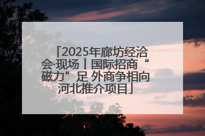2025年廊坊经洽会·现场丨国际招商“磁力”足 外商争相向河北推介项目