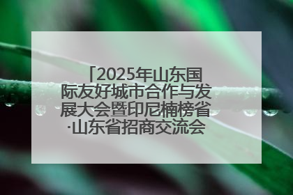 2025年山东国际友好城市合作与发展大会暨印尼楠榜省·山东省招商交流会在济南槐荫举行