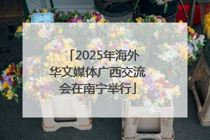 2025年海外华文媒体广西交流会在南宁举行
