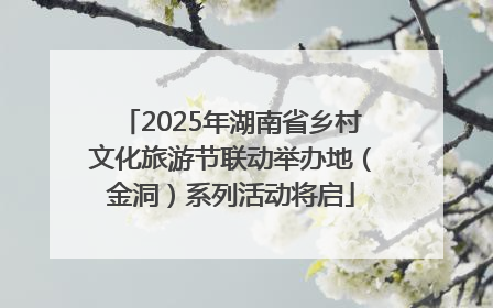 2025年湖南省乡村文化旅游节联动举办地（金洞）系列活动将启