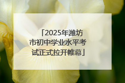 2025年潍坊市初中学业水平考试正式拉开帷幕