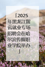 2025年黑龙江留省就业专场招聘会在哈尔滨传媒职业学院举办