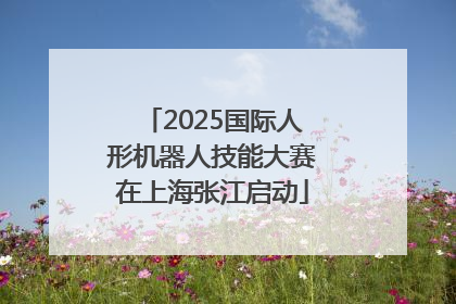 2025国际人形机器人技能大赛在上海张江启动