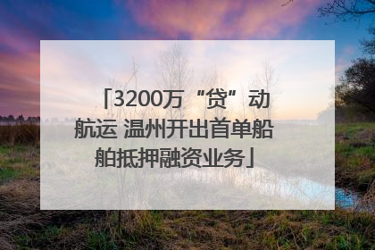 3200万“贷”动航运 温州开出首单船舶抵押融资业务