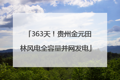 363天！贵州金元田林风电全容量并网发电