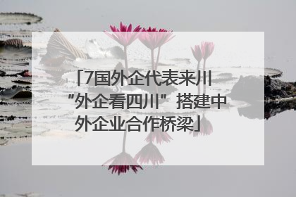 7国外企代表来川 “外企看四川”搭建中外企业合作桥梁